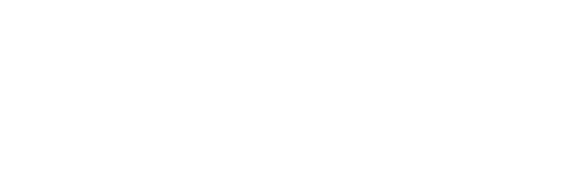 ids.cc Logo